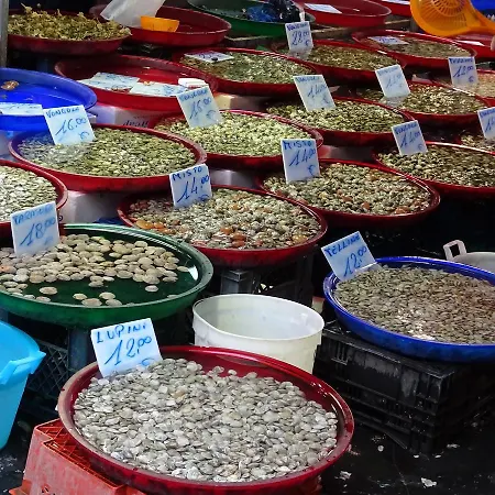 住宿加早餐酒店 A Casa Di Grazia 那不勒斯