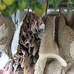 住宿加早餐酒店 A Casa Di Grazia 3*